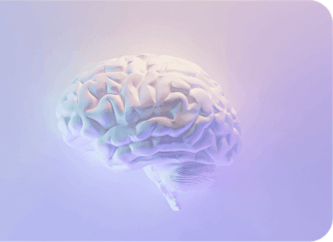 medical image