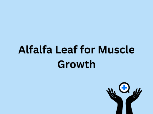 A blue image with text saying "Alfalfa Leaf for Muscle Growth"
