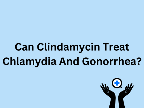 A blue image with text saying "Can Clindamycin Treat Chlamydia And Gonorrhea?"