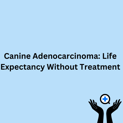 A blue image with text saying "Canine Adenocarcinoma: Life Expectancy Without Treatment"