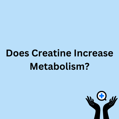 A blue image with text saying "Does Creatine Increase Metabolism?"