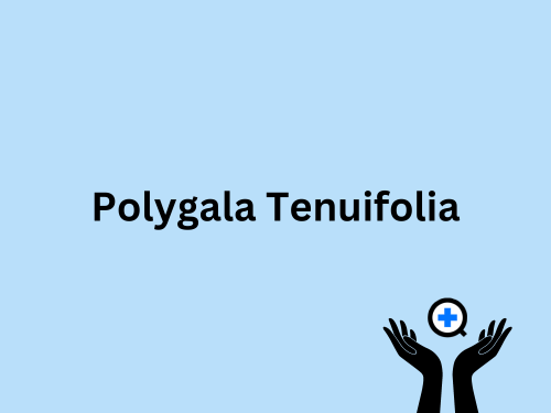 A blue image with text saying "Polygala Tenuifolia"